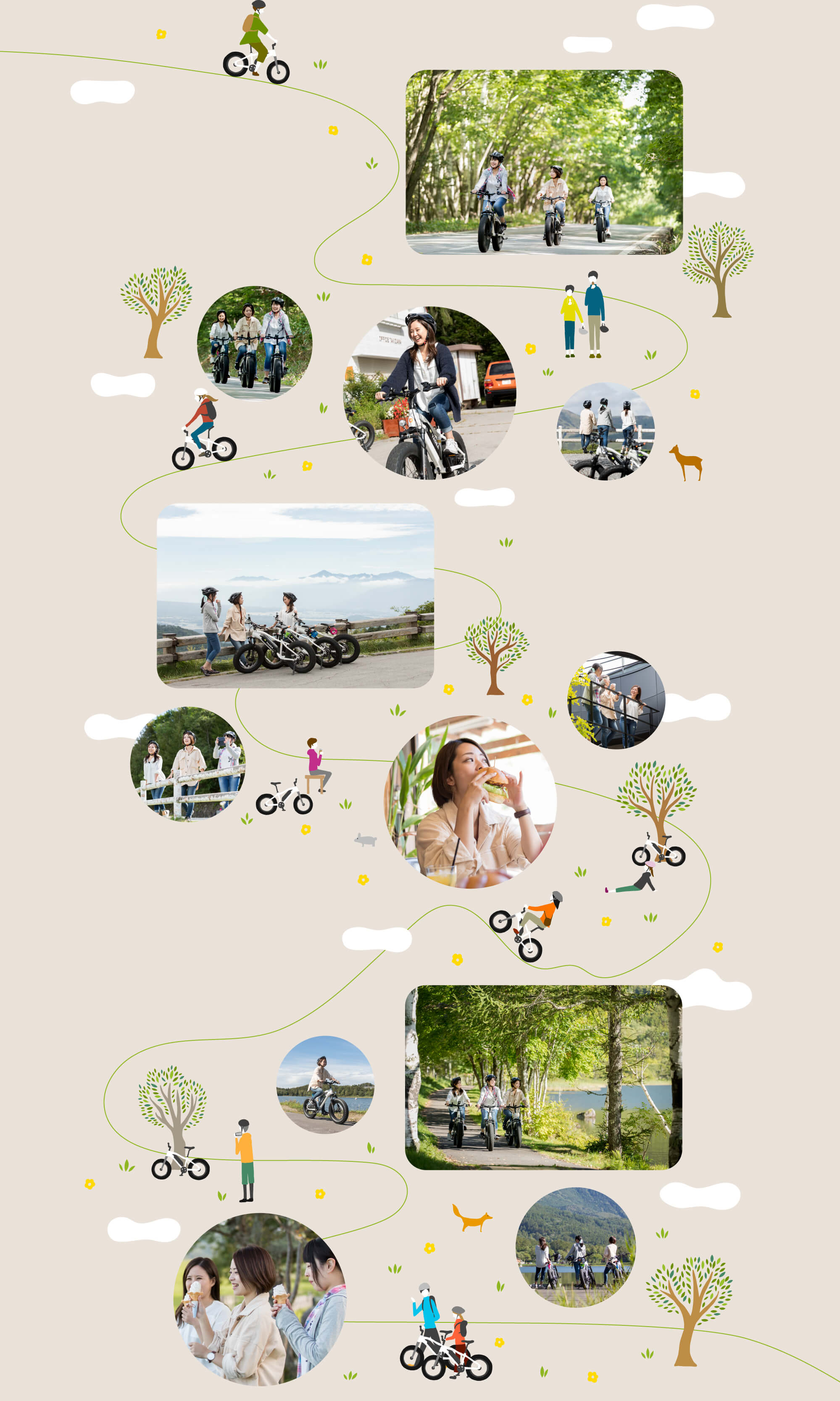 シラカバイクの魅力 背景